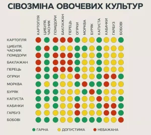таблиця сівозміни овочевих культур з сумісністю рослин
